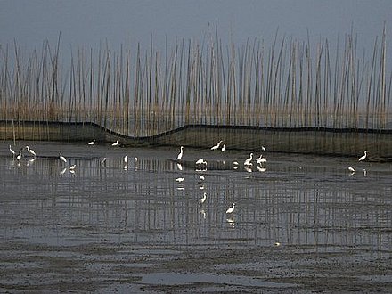 Shengjin Lake