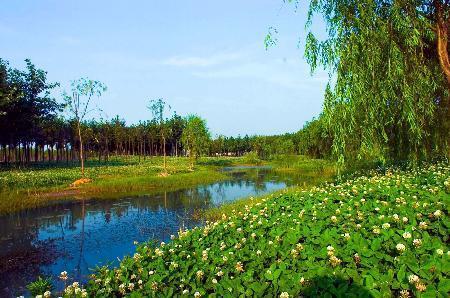 Jinghu Lake Park