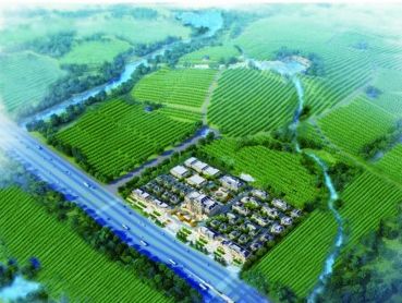 North Hefei to build new vineyard
