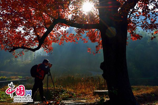 Colorful autumn scenery of Tianzhu Mountain