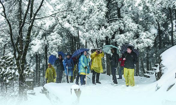 Huangshan Mountain sees first snowfall this winter