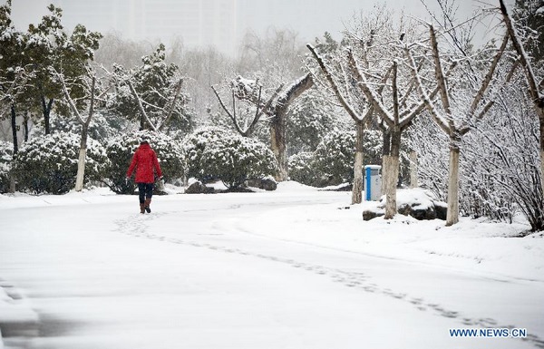 Snow hits Hefei, E China's Anhui province
