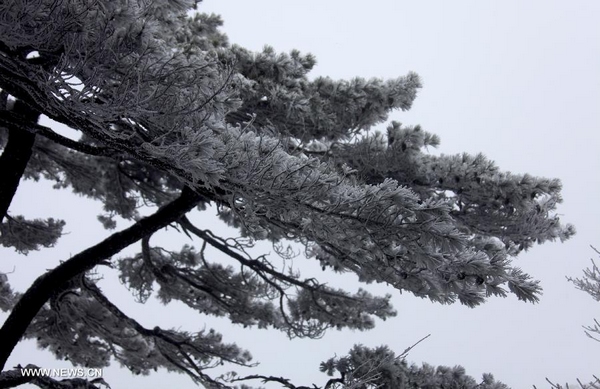 Snow scenery of Huangshan Mountain