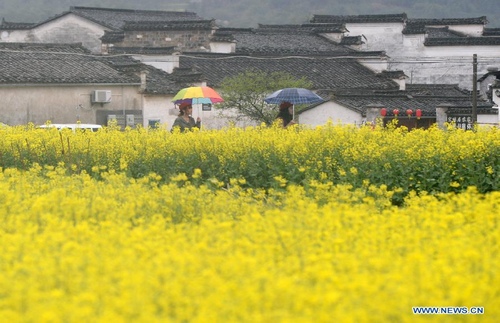 Tourists enjoy spring scenery at Hongcun Village