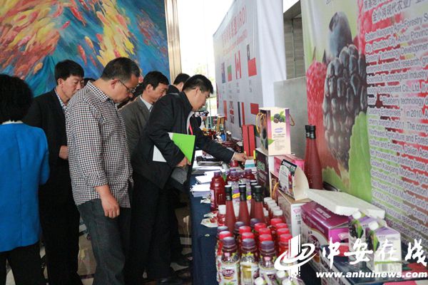 9th International Raspberry Meeting kicks off in Fengyang